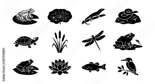 Pond Life Vector Icons: Frogs, Fish, Dragonflies, and Aquatic Plants