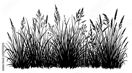 CAD tree lines,  grass Black grass silhouette vector, wild meadow field plants, botanical cereal stalks and weeds, natural prairie landscape border on white background vector