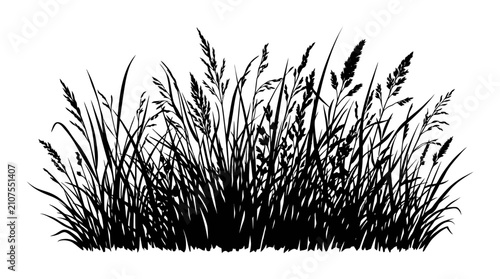 CAD tree lines,  grass Black grass silhouette vector, wild meadow weeds and field plants, hand drawn botanical garden border isolated on white background vector