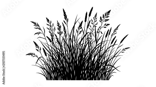 CAD tree lines,  grass Black grass silhouette vector, wild meadow plants and field weeds isolated on white, botanical nature illustration for landscape design vector
