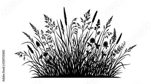 CAD tree lines,  grass Wild grass silhouette vector, meadow field plants and weeds illustration, black botanical floral elements on white background, summer nature landscape border vector