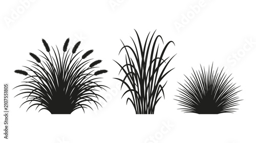 Bild auf Leinwand CAD tree lines,  grass Black grass silhouette vector set, wild cattail and marsh