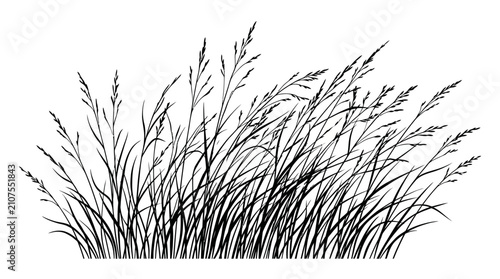 CAD tree lines,  grass Hand drawn wild grass silhouette vector, black meadow weeds and field plants, botanical garden flora illustration for landscape design vector