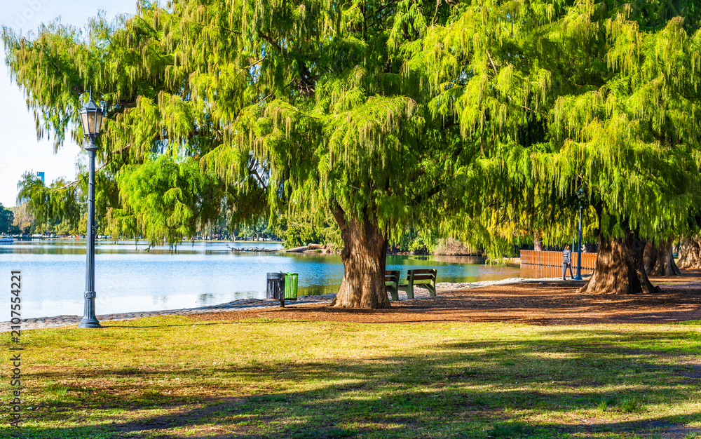 Obraz premium Autumn in Palermo Park, Buenos Aires, Argentina