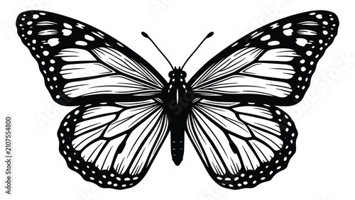 Fotografija Butterfly featuring detailed monochromatic line work is centered on a clean white background