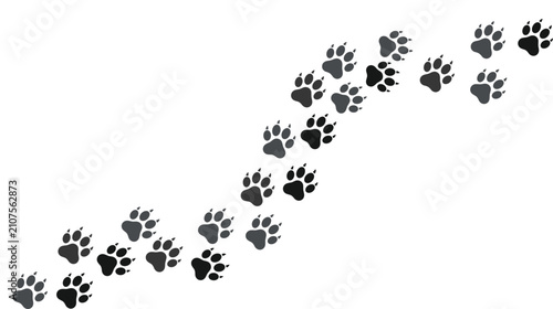 Canvas Print Animal paw print trail vector elements showing black dog steps, wild wolf tracking path, and domestic cat claw marks background illustration