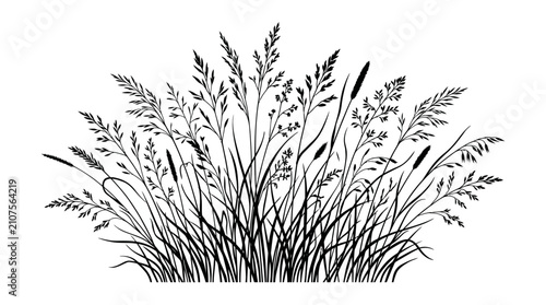 Bild auf Leinwand Assortment of varied grass and cattail silhouettes forms a natural border or design element for outdoor-themed projects