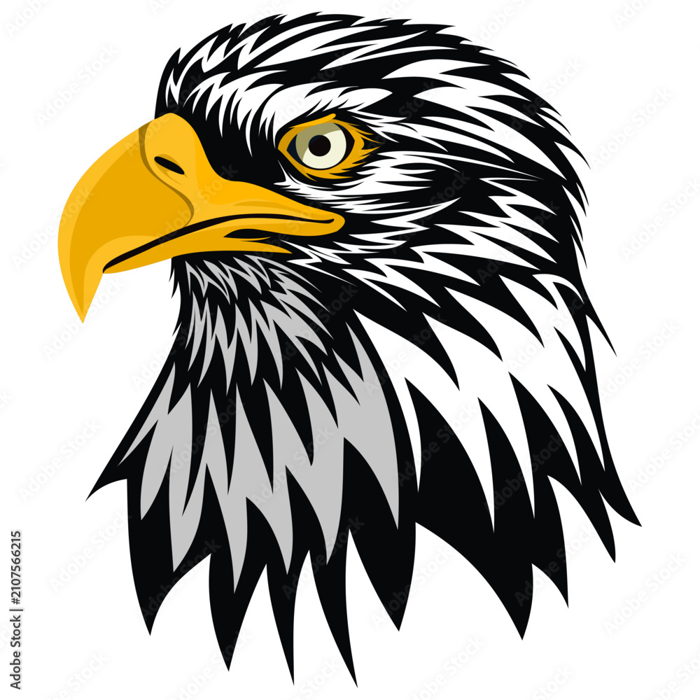 Fototapeta premium Powerful Bald Eagle Portrait Vector Illustration