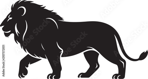 Photography Walking Lion Silhouette vector