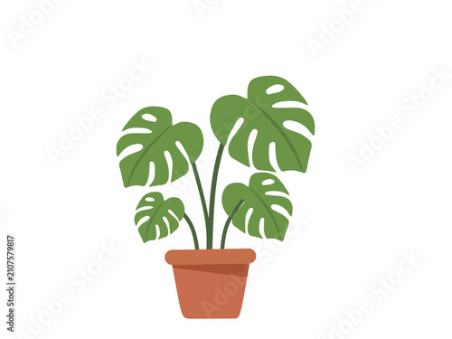 Monstera houseplant flat icon isolated on white background. Tropical indoor plant illustration for home decoration, interior design, gardening, and botanical themes