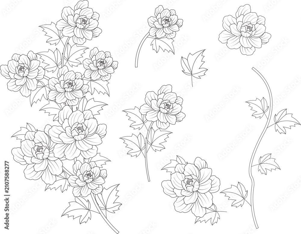 Fototapeta premium set of flowers