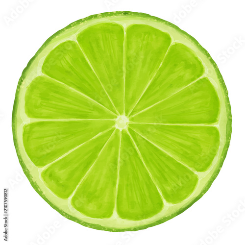 lime slice summer fruit