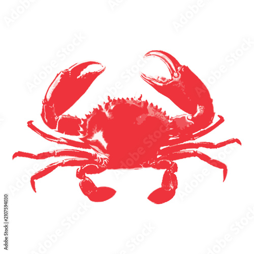 Make a Professional Crab Illustration Vector