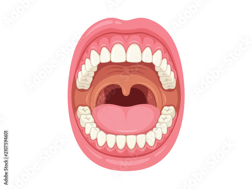 Open Mouth Showing Teeth and Tongue in Illustration.