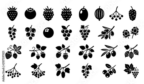 Foto Botanical berry and olive silhouette icon set with black fruit vector collection