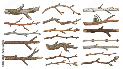 Premium botanical fallen branches and twig collection isolated on white background realistic natural wood
