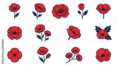 Bild auf Leinwand Collection of red poppy flowers.
