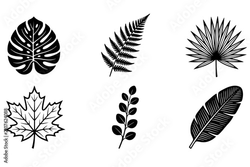 Foto Black silhouettes of six diverse leaves, including monstera, fern, palm, maple, branch, and banana, symbolizing botanical variety and plant morphology in bold vector art