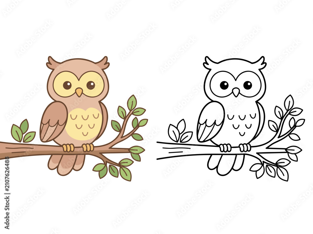 Fototapeta premium Cute cartoon owl vector illustration featuring a colored version and a black and white outline for children coloring pages design
