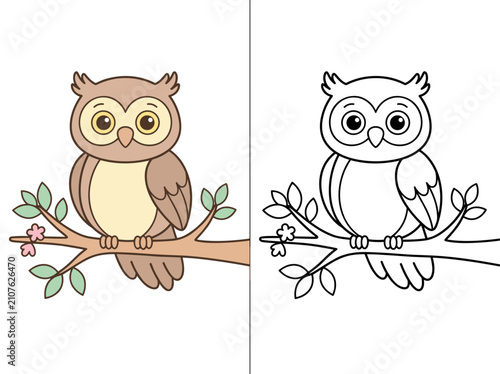A cute cartoon owl vector graphic illustration featuring a colored version beside a black and white outline for coloring pages
