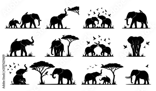 Photography African Elephant Silhouette Collection with Safari Trees Wildlife Nature Vector