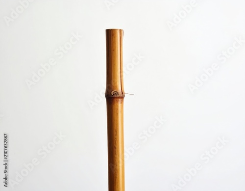 Tall, slender bamboo stalk with knot and subtle ring pattern against white