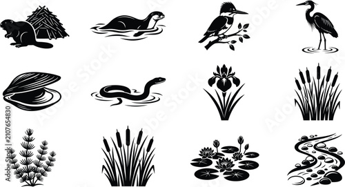Black Silhouette Freshwater Wetland Ecosystem Icons Set with Animals Plants and Nature Elements for Wildlife Education