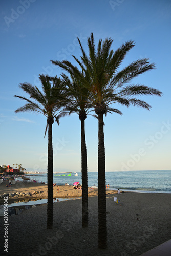 Palmen und Meer in Benalmadena, Spanien