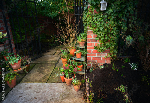 Potted spring flowers and plants on a stand by a brick wall covered with ivy near a garden gate, Vancouver, British Columbia, Canada.