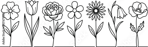 Bild auf Leinwand Floral line art icon set featuring wildflower tulip peony daisy poppy bluebell b