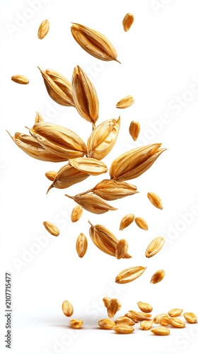 Scattered Barley Grains Falling Against White Background.
