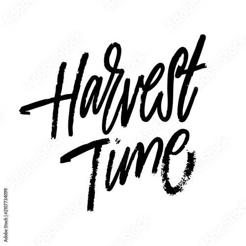 Harvest Time hand lettering calligraphy in black art text