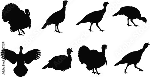 Bilde på lerret Turkey silhouette collection featuring standing, walking, pecking, flapping, and