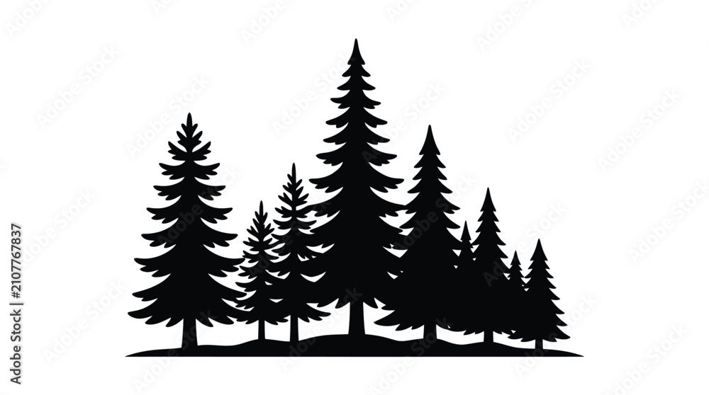Obraz premium Coniferous Tree Silhouette Against White Background trees