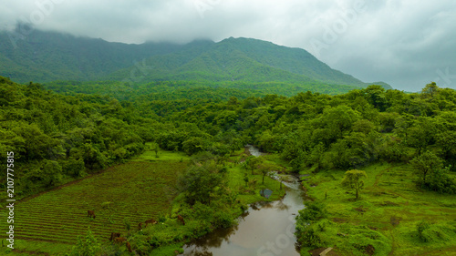 Foto drone shot of Forest Stream in Maharashtra,
Sahyadri Monsoon Landscape