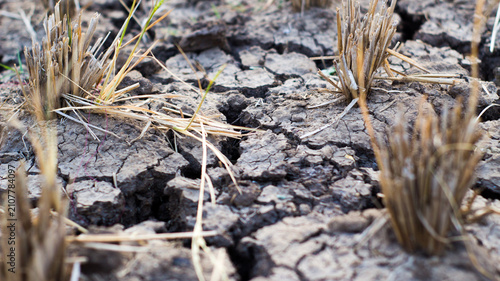 Konstfotografi Dry cracked earth in paddy field during severe drought season.