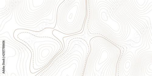 Topographic map background. Geographic line map with elevation assignments. geography map grid abstract backdrop. Business concept. 