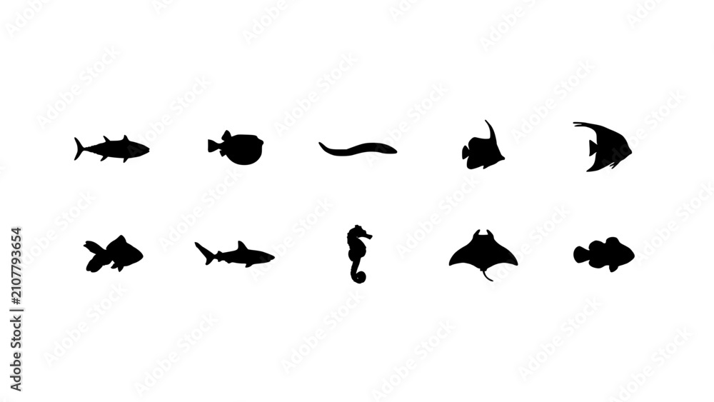 Fototapeta premium Fish Silhouettes Set of Ten Distinct Species with Varied Fins and Streamlined Shapes for Decorative Patterns