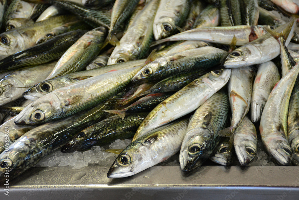 Obraz premium sardines