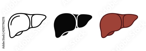 Human liver icon set in flat linear solid and colored vector illustration style Vector