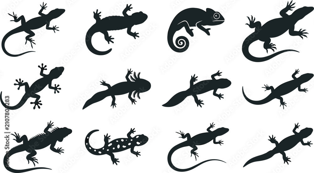 Fototapeta premium Lizard Silhouette Icon Set Featuring Black Reptile Shapes, Gecko, Chameleon, Salamander, and Amphibian Vectors for Graphic Design, Tattoos, and Crafting Projects
