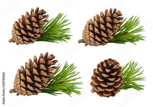 Four brown pine cones with green pine needles arranged in a collection for seasonal holiday decoration and nature crafts