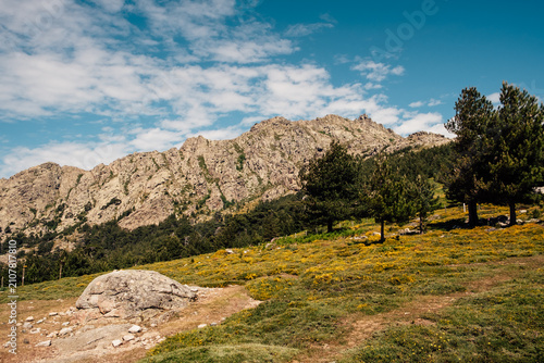 Blooming mountain meadow and rocky cliffs in Corsica