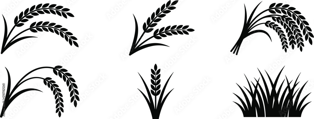 Fototapeta premium Wheat ear and paddy rice silhouette icon set for agriculture, organic farming, and grain harvest vector
