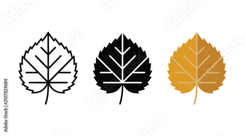 Set of three birch leaf icons in line art solid black and colored vector style Vector