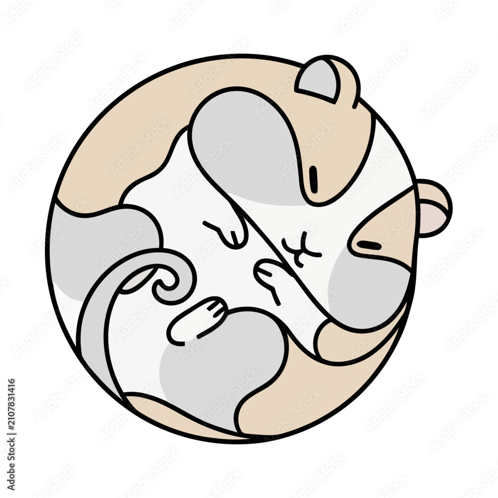 Fototapeta premium Two Hamsters in a Circle