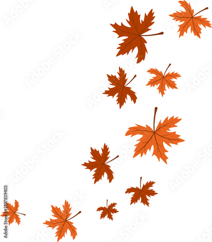 Falling Autumn Leaves