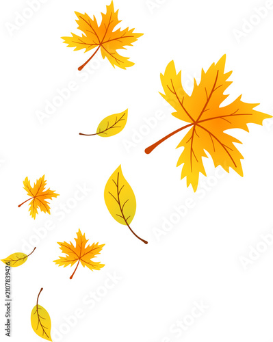 Autumn Leaves Falling