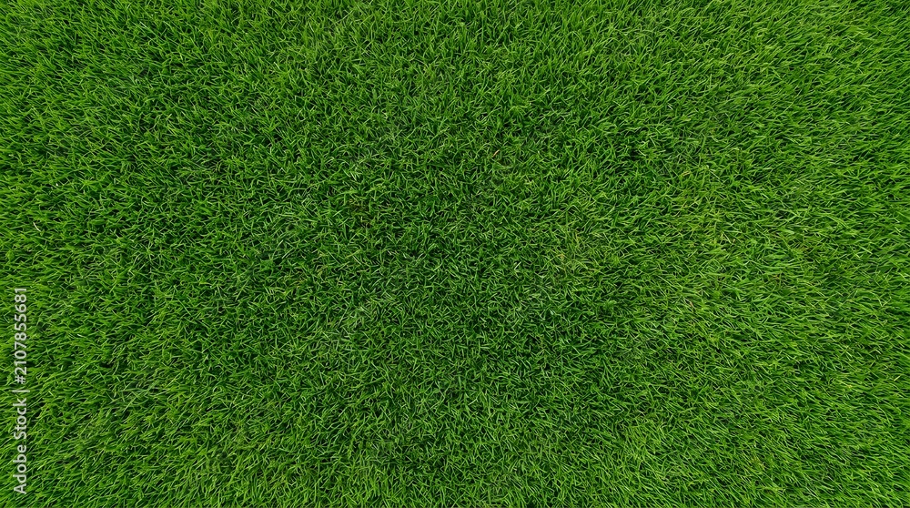 Fototapeta premium Overhead View of Lush Vibrant Green Grass Turf Background