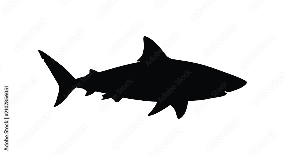 Obraz premium Black shark silhouette against a white background a marine predator illustration silhouette